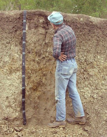 soil science